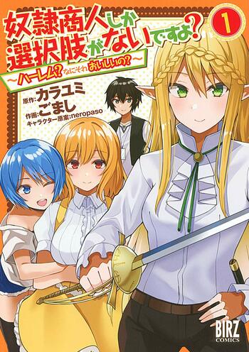 Dorei Shounin Shika Sentaku-shi ga Nai desu yo? Harem? Nani Sore Oishii no?