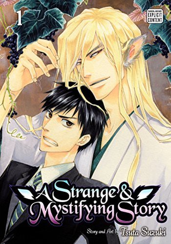A Strange & Mystifying Story