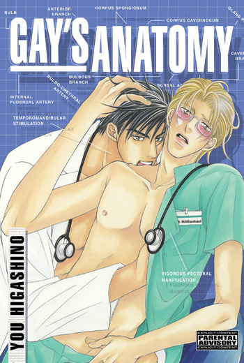Gay's Anatomy
