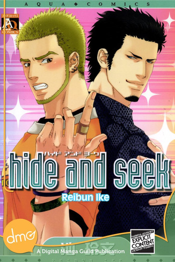 Hide and Seek