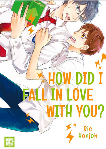 How Did I Fall in Love With You!?