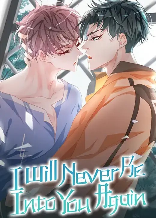 I Will Never Be Into You Again