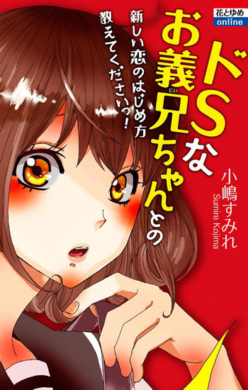 Ie no Naka no S na Koto