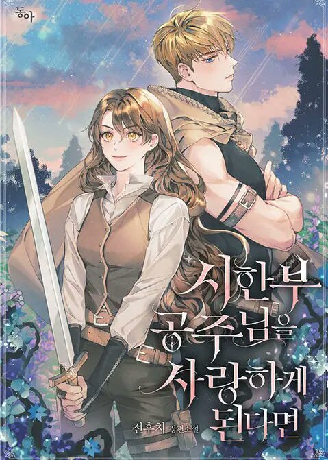 If You Fall In Love With A Terminally Ill Princess (Novel)