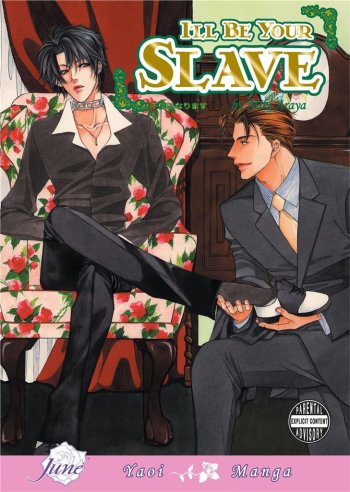 I'll Be Your Slave