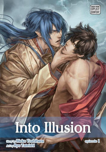 Into Illusion