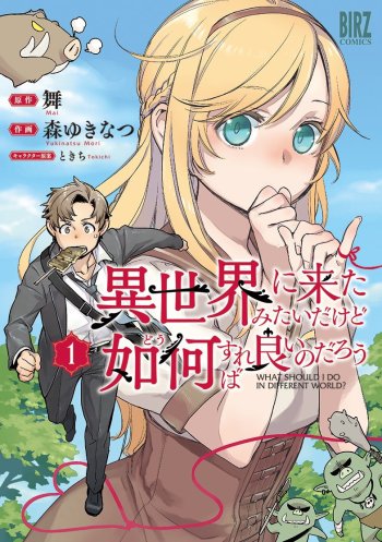 Isekai ni Kita Mitai dakedo Dou sureba Yoi no Darou
