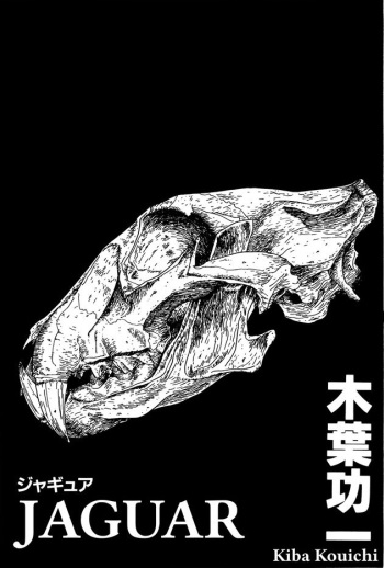 Jaguar