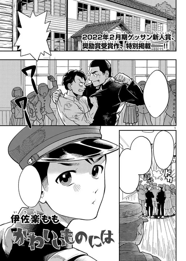 Kawaii Mono ni wa