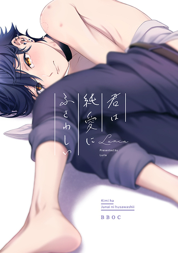 Kimi wa Junai ni Fusawashii