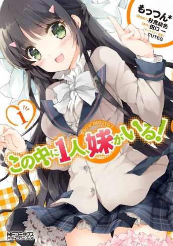 Kono Naka ni Hitori, Imouto ga Iru!