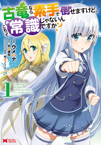 Koryuu nara Sude de Taosemasu kedo, Korette Joushiki Janain desu ka?