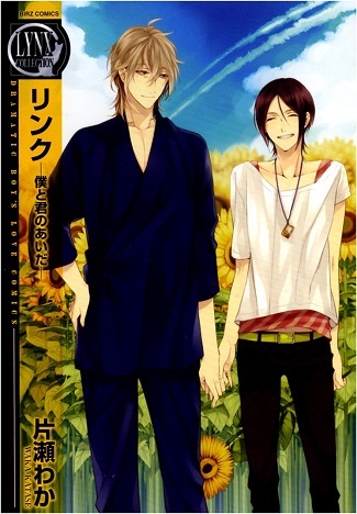 Link: Boku to Kimi no Aida
