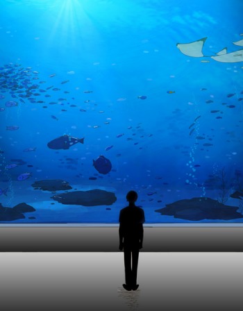 Love Aquarium
