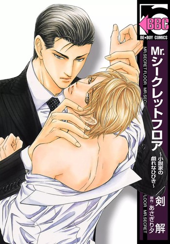 Mr. Secret Floor: Shousetsuka no Tawamure na Hibiki
