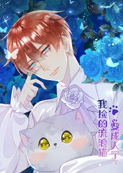 My Boyfriend Is A Stray Cat?