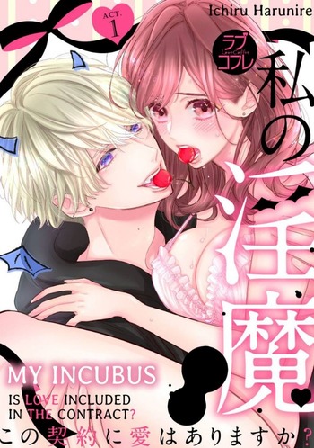 My Incubus: Is Love Included in the Contract?