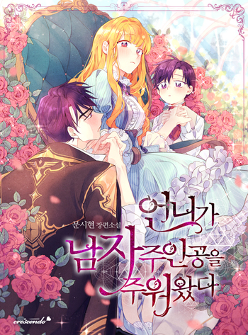 My Sister Picked Up the Male Lead (Novel)
