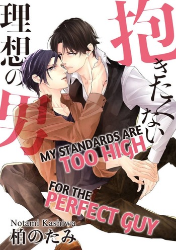 My Standards Are Too High for the Perfect Guy