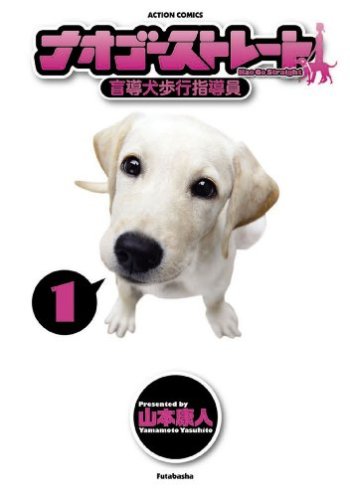 Nao Go Straight-Guide Dog Trainer