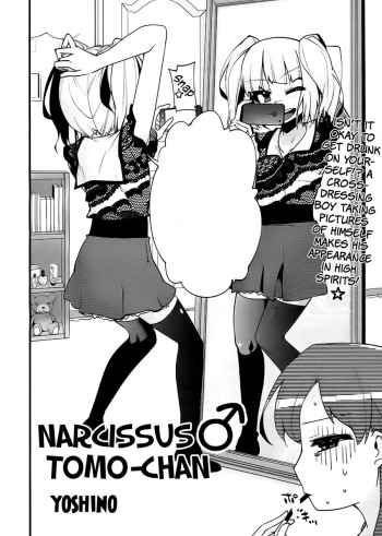 Narcissus Tomo-chan