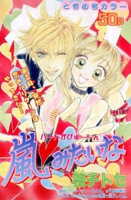 Arashi Mitai na
