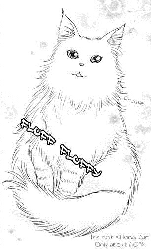 Attemo Nakutemo Neko no Shippo