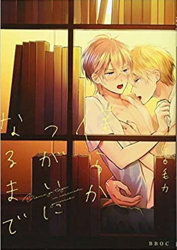 Bokura ga Tsugai ni Naru made