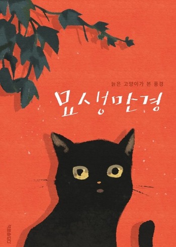 A Cat's Tale